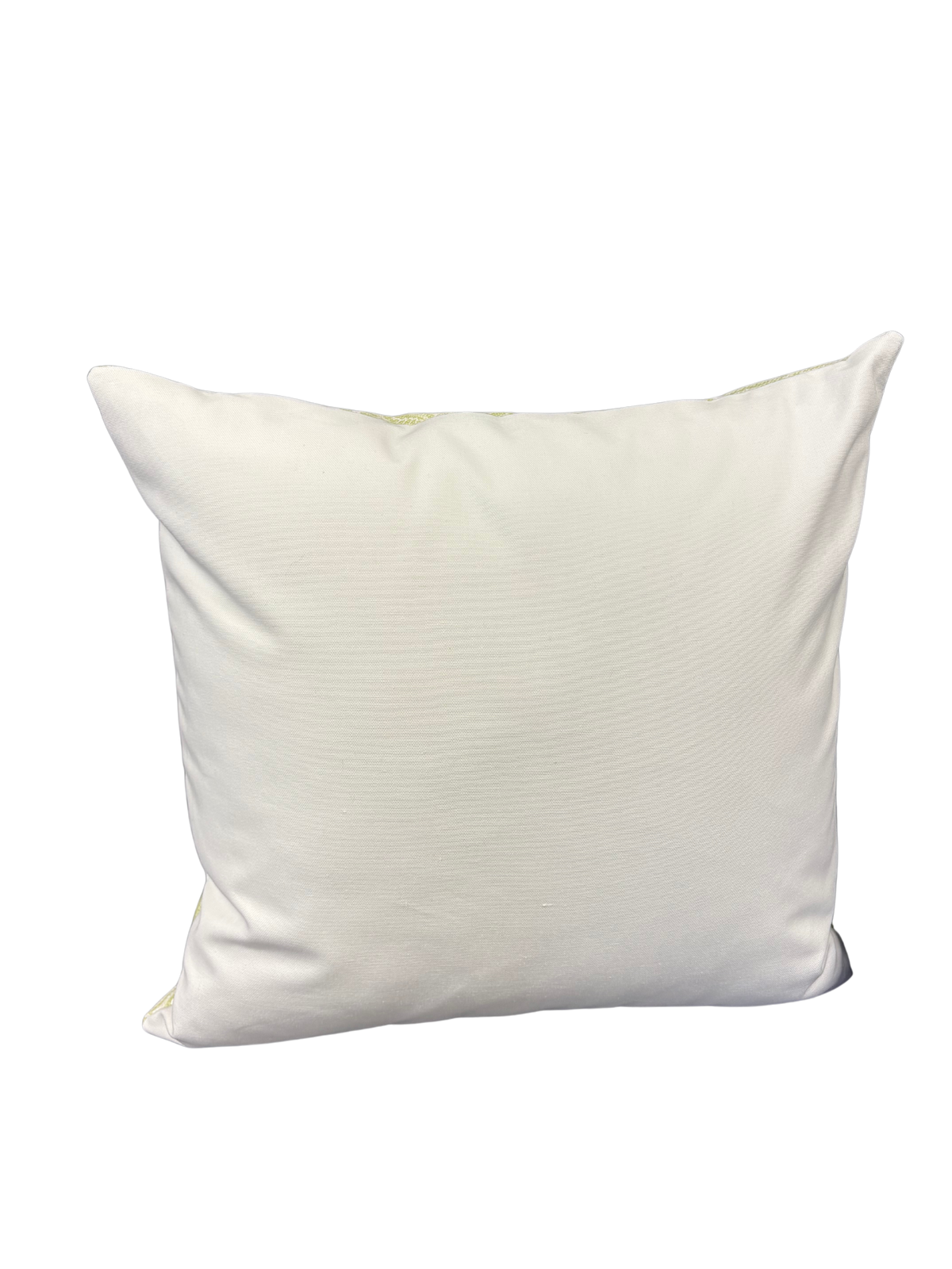 Sand Dollar 20x20 Pillow