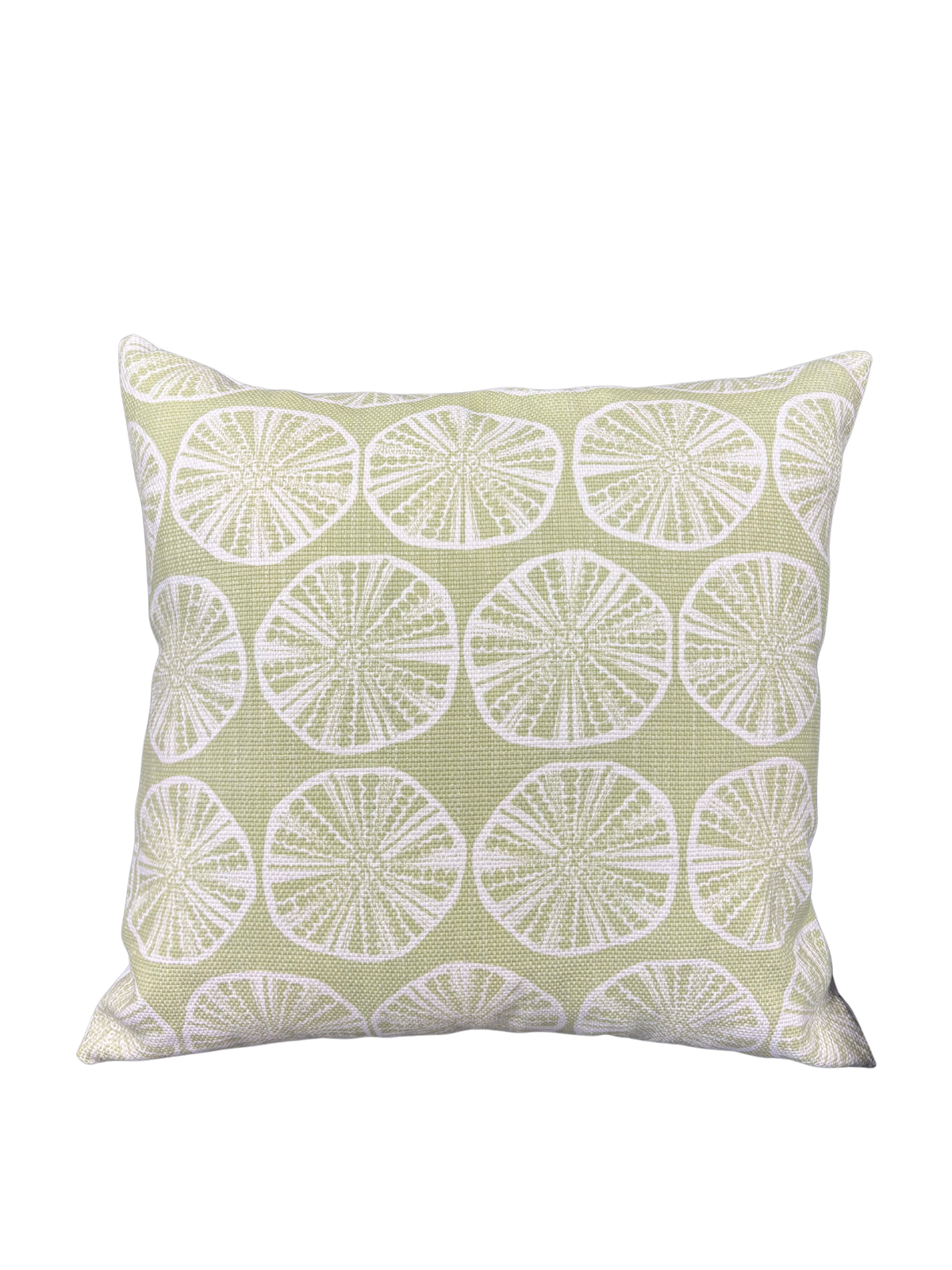 Sand Dollar 20x20 Pillow