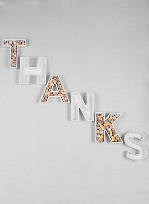 THANKS Ceramic Letter Dishes