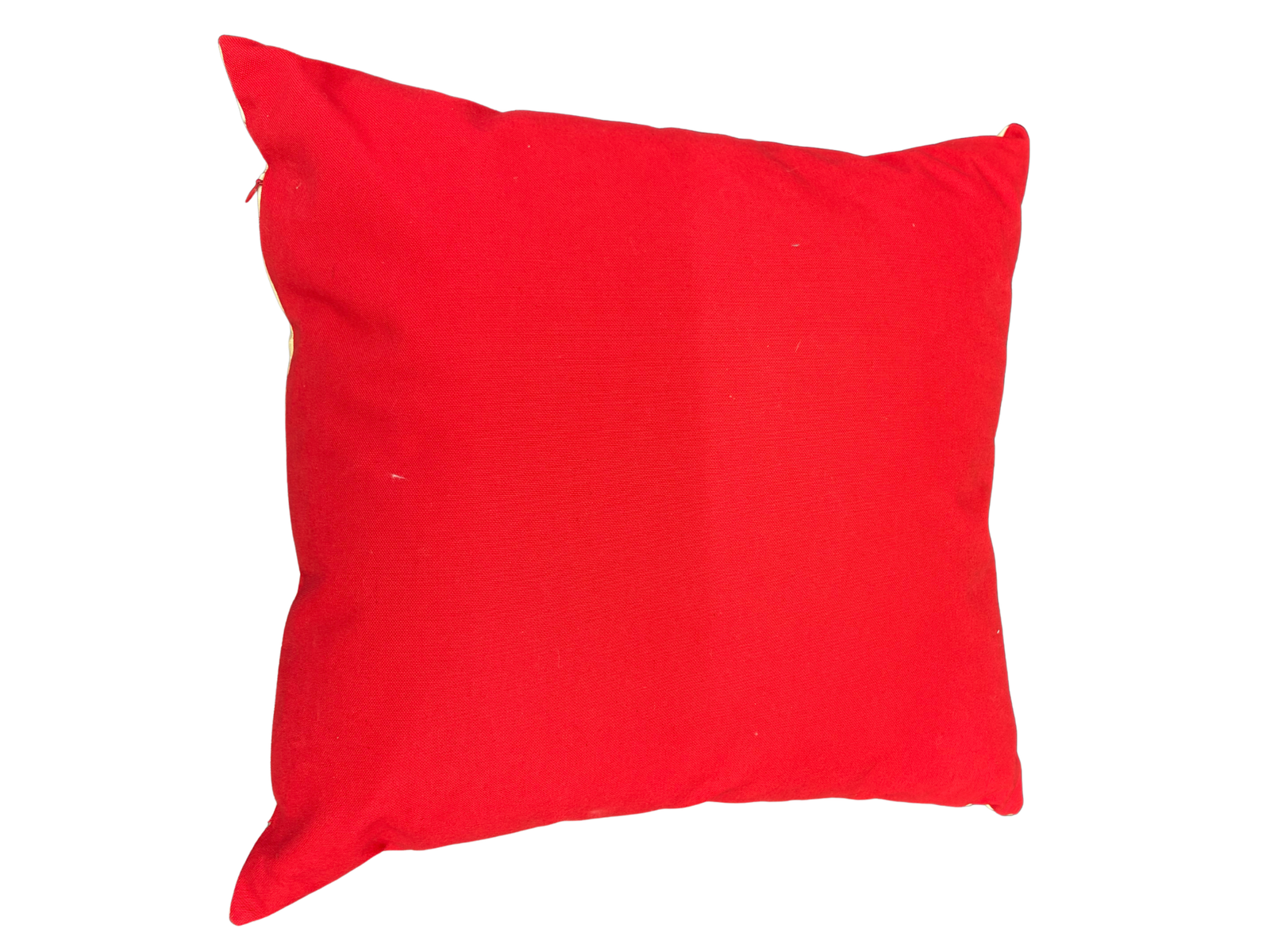 Coastal Marine 20x20 Pillow