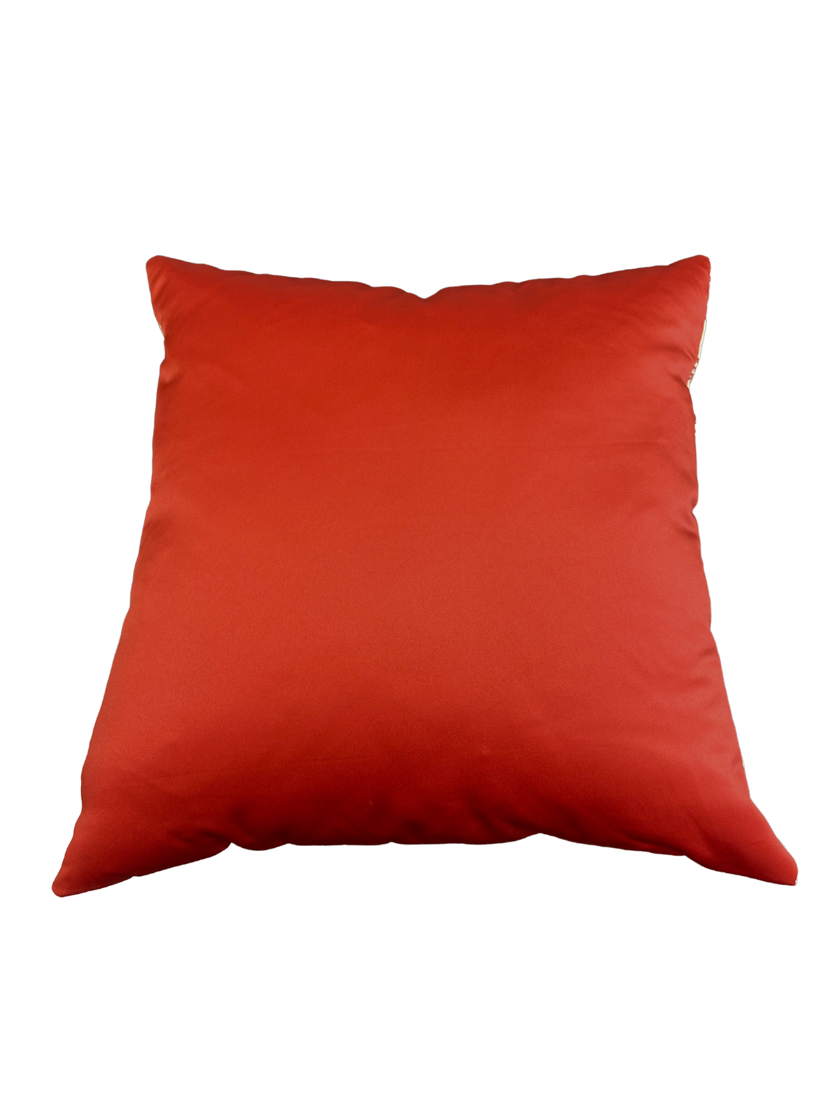 Coral Reef 20x20 Pillow