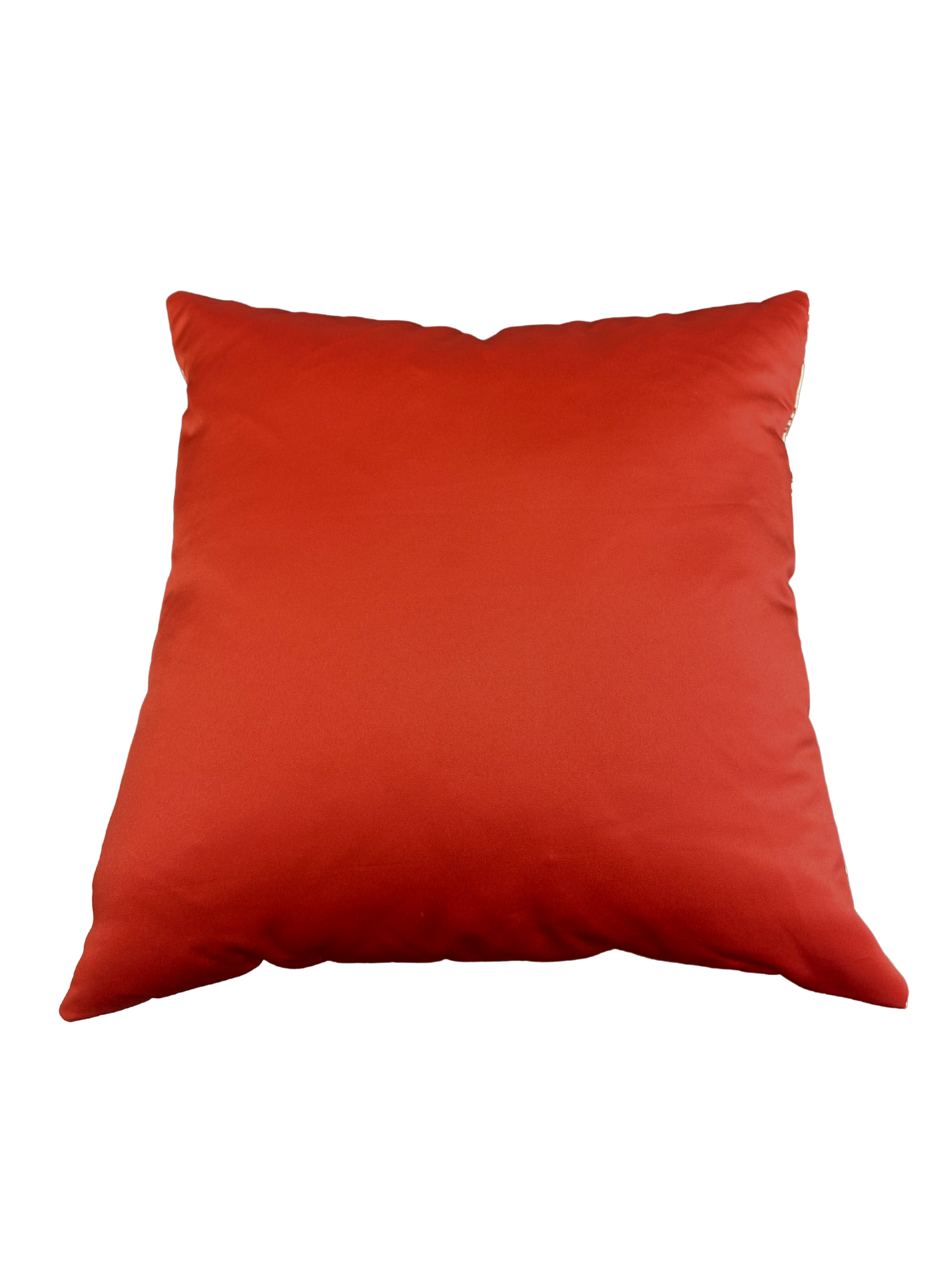 Coral Reef 20x20 Pillow