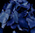 Royal Blue Rose Petals