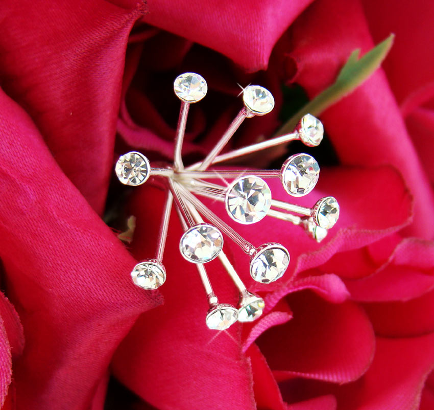 Crystal Glow Spray Bouquet Pins (Set of 2)