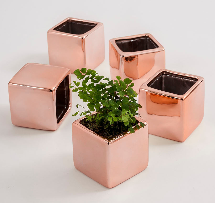 Metallic Wedding Favor Flower Pots