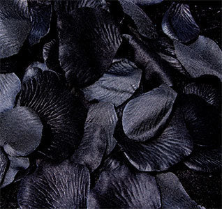 Black Rose Flower Petals