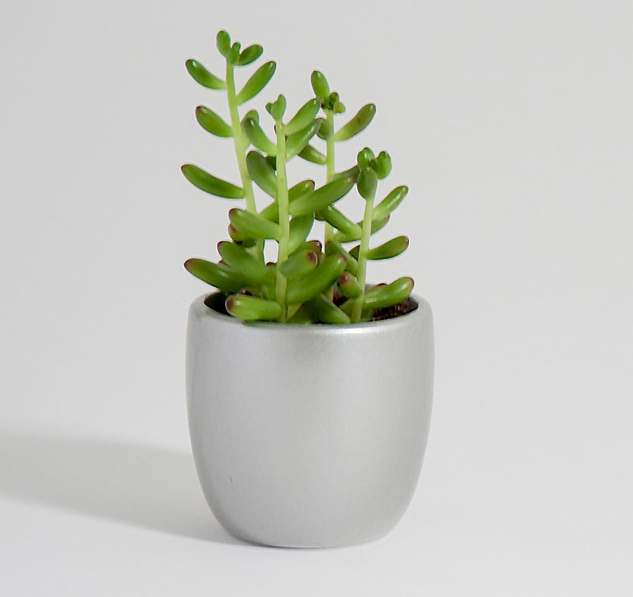 Plain Round Flower Pots