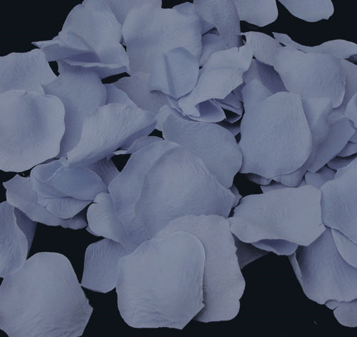 Light Blue Rose Petals