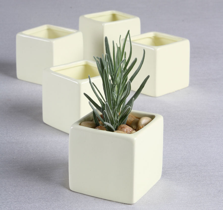 Plain Square Flower Pots