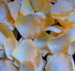 Peachy Light Yellow Rose Petals