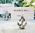 Nautical Anchor Place Card Holder