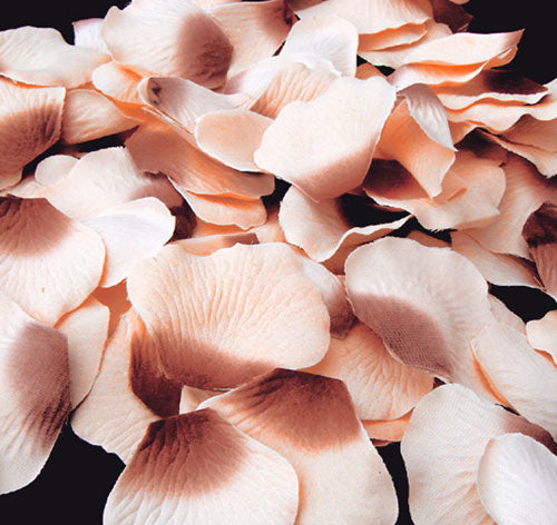 Cinnamon &amp; Peach Rose Flower Petals