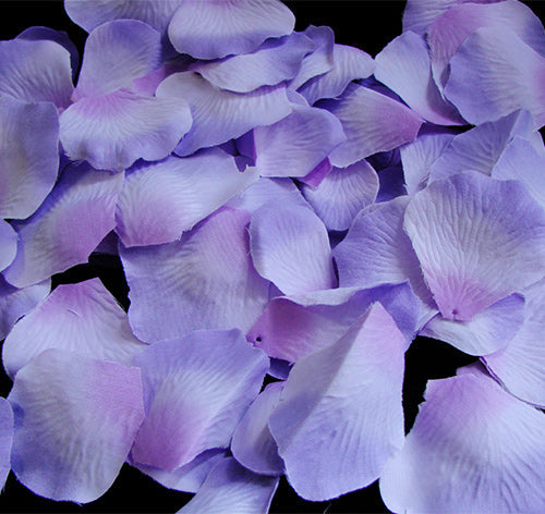 lavender flower petals Three Tone Lavender Rose Petals