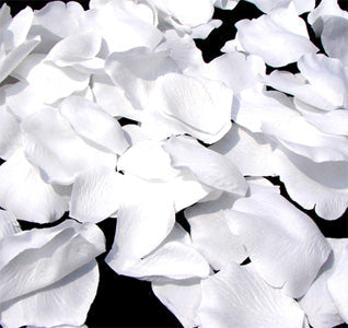 White Rose Petals