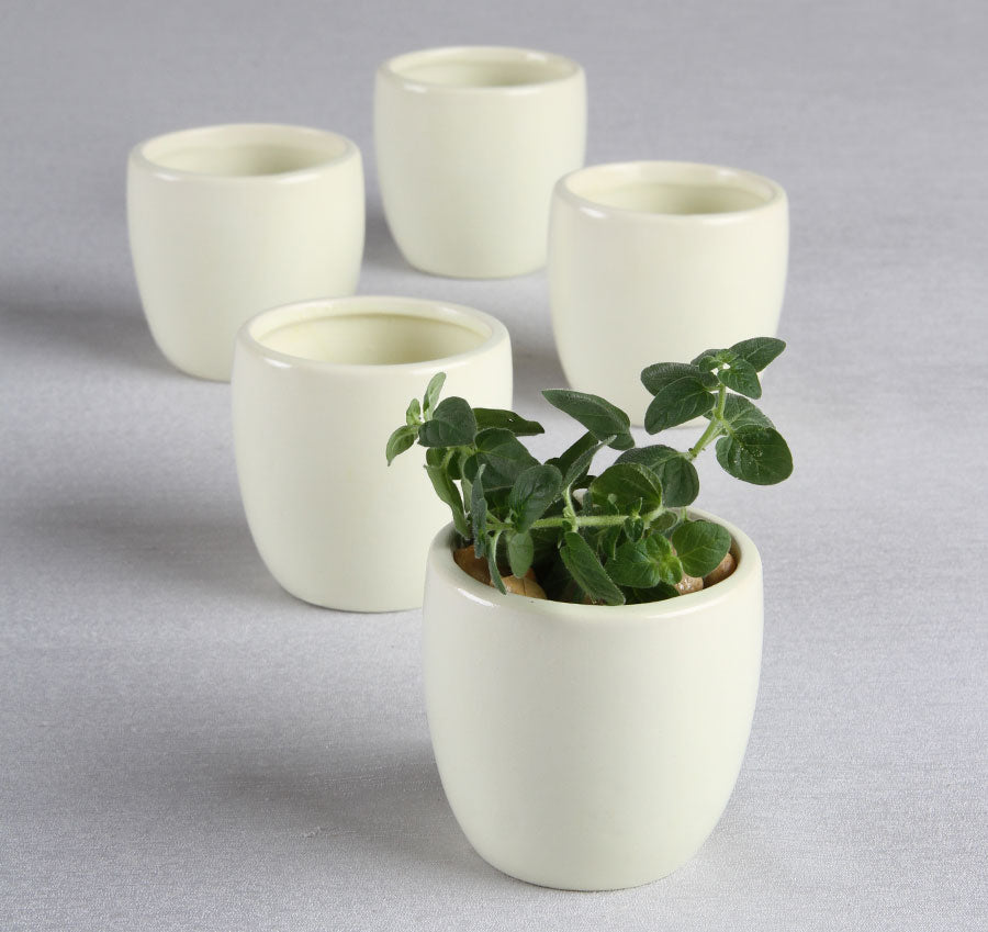 plain plant pots Plain Round Flower Pots