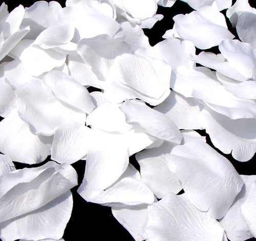 White Rose Petals