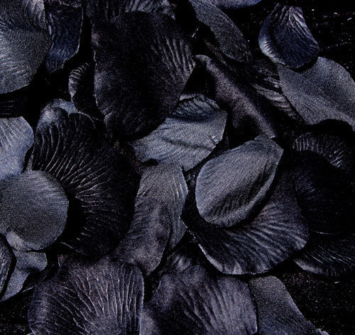 Black Rose Flower Petals