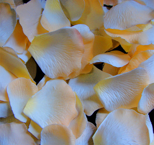 Peachy Light Yellow Rose Petals