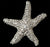 Rhinestone Encrusted Starfish Bridal Brooch