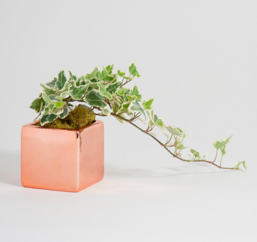 Metallic Wedding Favor Flower Pots