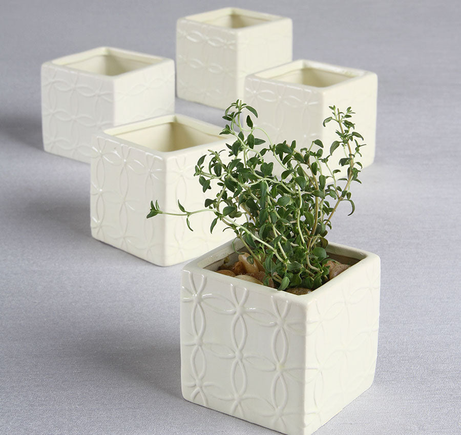 Circle Square Flower Pots